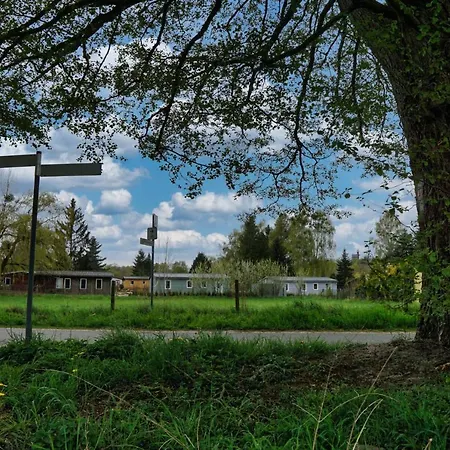 Geraumiges Strandhaus: Familienfreundlich Mit Terrasse Nahe Werbellinsee Holiday home Joachimsthal