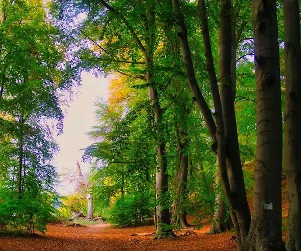 Modernes Sonnendeck 70 Qm I Strandnah I Terrasse I 2 Schlafzimmer I Naehe Werbellinsee * 希姆斯塔尔